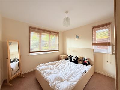 Picture 5